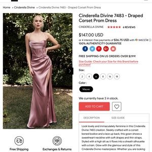 Mauve Corset Floor Length Dress